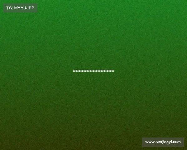 切尔西全力争夺哈维西蒙斯和加纳乔期望在关窗前完成签约